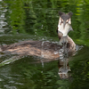 IMG_4085.jpeg