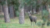 Bestandsnaam=R_laatdestrydersmaarkomen_DSC05768.jpg
Bestandsgrootte=799KiB
Afmetingen = 1200x675
Datum toegevoegd = aug 29, 2025 R_laatdestrydersmaarkomen_DSC05768.jpg