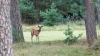 Bestandsnaam=R_theyoungone_DSC05861.jpg
Bestandsgrootte=877KiB
Afmetingen = 1200x675
Datum toegevoegd = aug 26, 2025 R_theyoungone_DSC05861.jpg