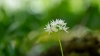 IMG_0221.jpeg