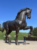 Bestandsnaam=gigant_horse_frederik_meijers.JPG
Bestandsgrootte=1262KiB
Afmetingen = 1200x1600
Datum toegevoegd = sep 29, 2025 gigant_horse_frederik_meijers.JPG