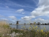 1200Bleiswijkaande_Rotte_IMG_0485.jpg