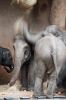 3_even_erbij_Blijdorp_Zoo_20191006125.jpg