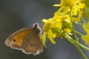 Bestandsnaam=Beekbergen_0050.jpg
Bestandsgrootte=440KiB
Afmetingen = 1033x688
Datum toegevoegd = jul 19, 2015 Beekbergen_0050.jpg