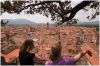 Lucca_torre_guinigi_0117.jpg